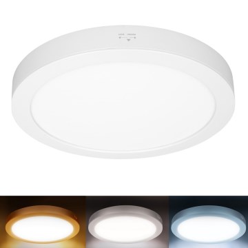 LED ytmonterad/infälld panel 2-i-1 24W/230V 3000/4000/6000K Ø 30 cm IP54 vit