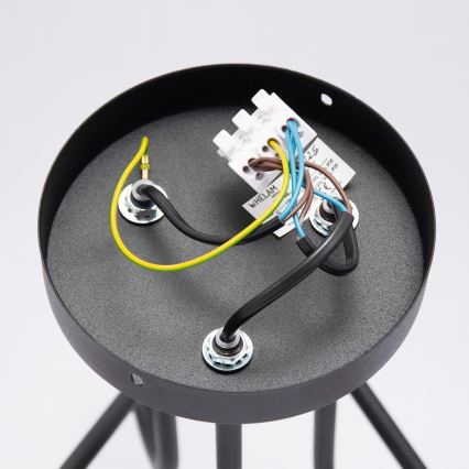 LED ytmonterad taklampa OXFORD 3xE27/15W/230V svart