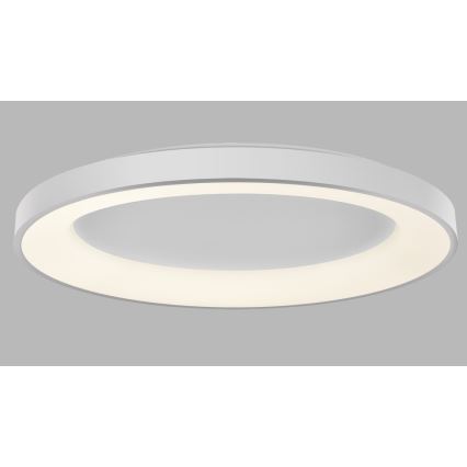 LED2 - LED ljusreglerad taklampa BELLA LED/80W/230V 3000K/4000K vit
