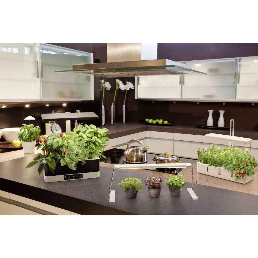 Ledvance - LED dimbar inomhuslampa för växter GARDEN KIT LED/24W/230V