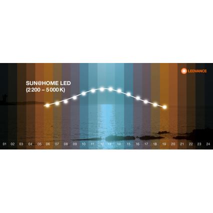 Ledvance - LED Dimbar taklampa SUN@HOME LED/35W/230V 2200-5000K CRI 95 Wi-Fi