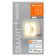 Ledvance - LED Dimbar smart uttag med belysning SMART+ PLUG 3680W Wi-Fi