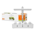 Ledvance - LED inomhuslampa för växter GARDEN KIT LED/24W/230V