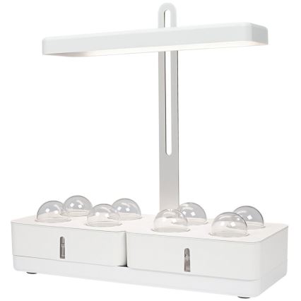 Ledvance - LED inomhuslampa för växter GARDEN KIT LED/24W/230V