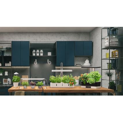 Ledvance - LED inomhuslampa för växter GARDEN KIT LED/24W/230V
