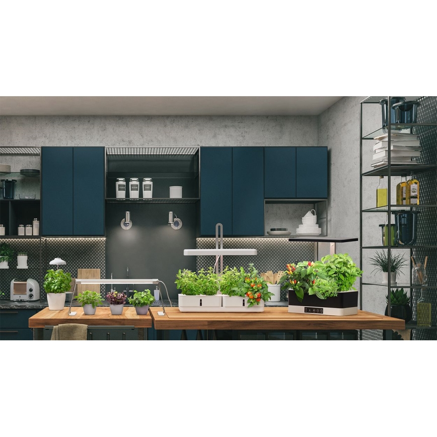Ledvance - LED inomhuslampa för växter GARDEN KIT LED/24W/230V