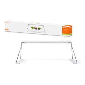 Ledvance - LED inomhuslampa för växter GARDEN LIGHT LED/14W/230V