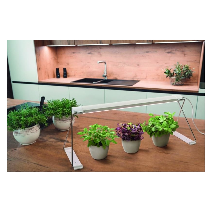 Ledvance - LED inomhuslampa för växter GARDEN LIGHT LED/14W/230V