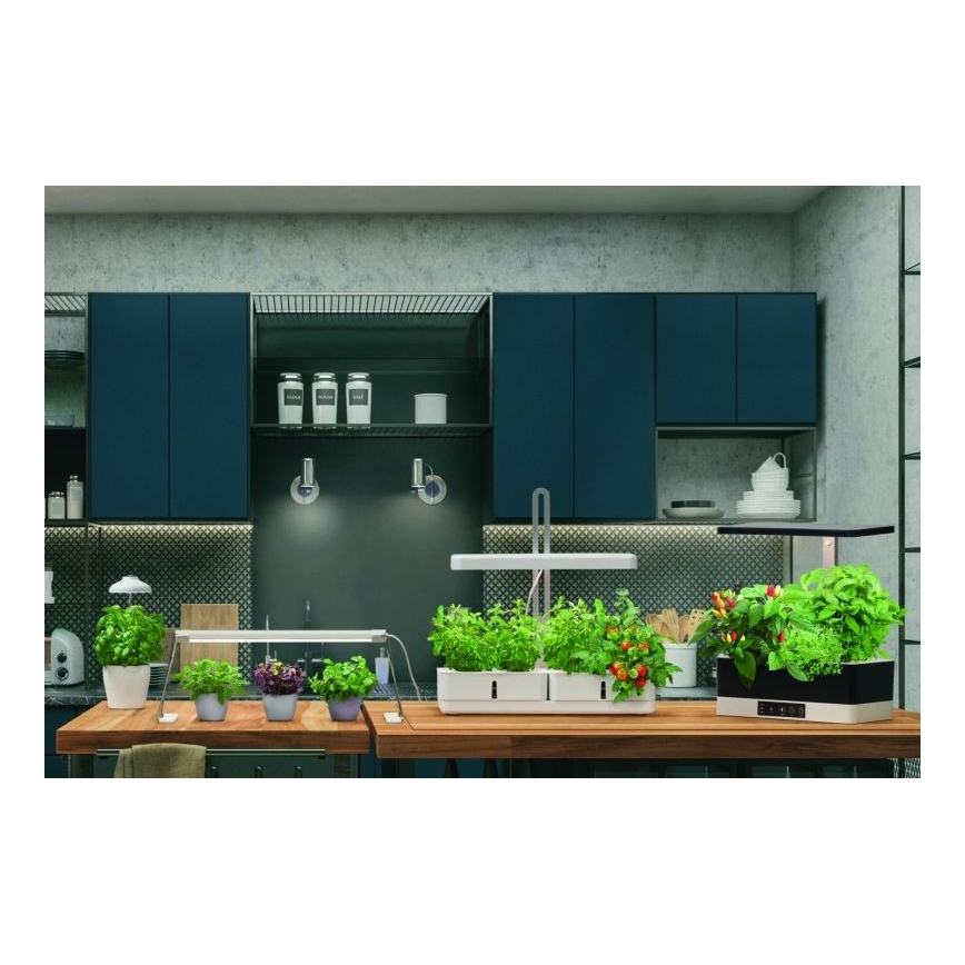 Ledvance - LED inomhuslampa för växter GARDEN LIGHT LED/14W/230V