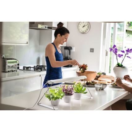 Ledvance - LED inomhuslampa för växter GARDEN LIGHT LED/14W/230V