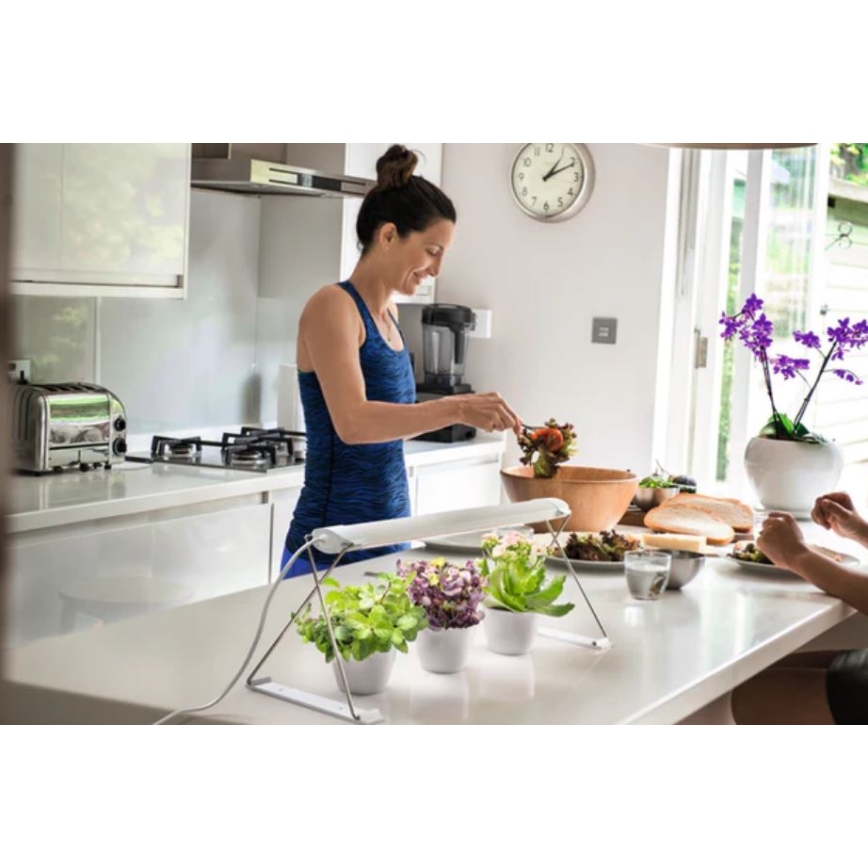 Ledvance - LED inomhuslampa för växter GARDEN LIGHT LED/14W/230V