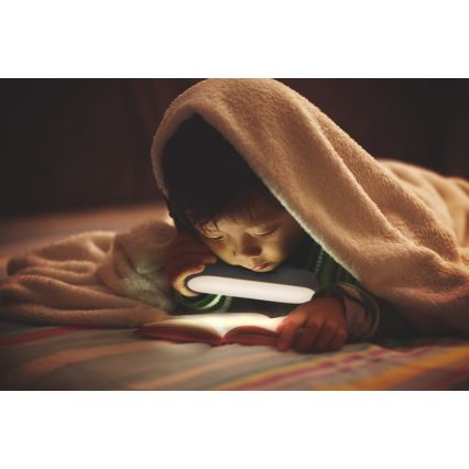 Ledvance - LED-belysning för möbler med sensor MOBILE LED/1,2W/5V 500 mAh 4000K