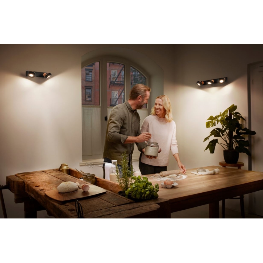 Ledvance - LED spotlight DECOR PLUTO 2xLED/4,8W/230V