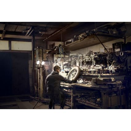 Ledvance - LED strålkastare för utomhusbruk med hållare WORKLIGHT TRIPOD 2xLED/30W/230V 6500K IP65