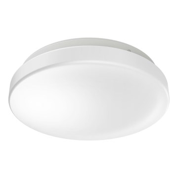 Ledvance - LED taklampa för badrum CEILING ROUND LED/18W/230V 6500K IP44