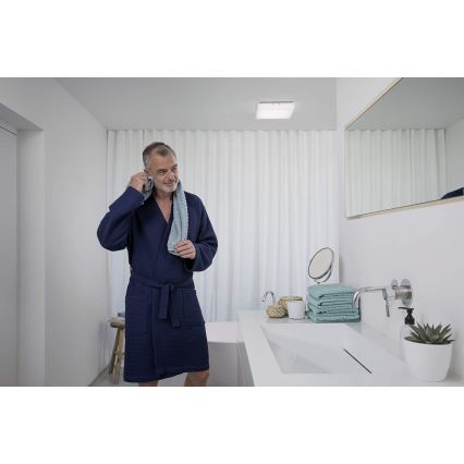 Ledvance - LED taklampa LUNIVE LED/19W/230V