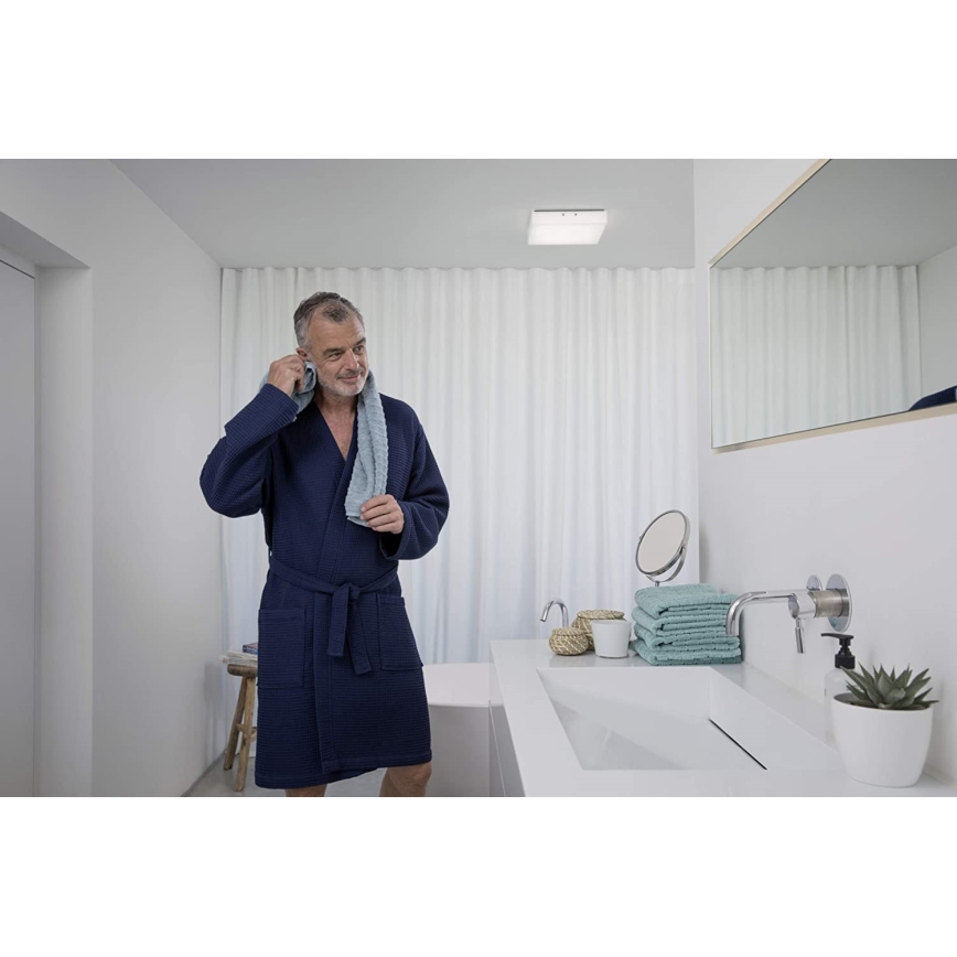 Ledvance - LED taklampa LUNIVE LED/19W/230V