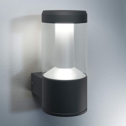 Ledvance - LED Utomhus Väggbelysning lykta 1xLED/12W/230V IP44
