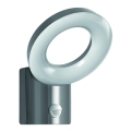 Ledvance - LED Utomhus Väggbelysning med sensor LOOP 1xLED/12W/230V IP44