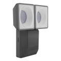 Ledvance - LED Utomhus Väggbelysning med sensor SPOT 2xLED/8W/230V IP55