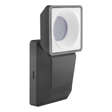 Ledvance -LED Utomhus Väggbelysning med sensor  SPOT LED/8W/230V IP55 svart
