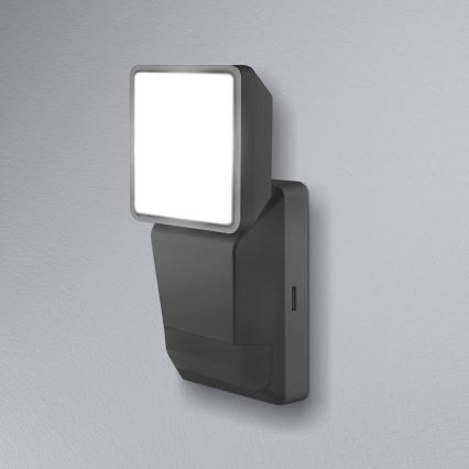 Ledvance -LED Utomhus Väggbelysning med sensor  SPOT LED/8W/230V IP55 svart