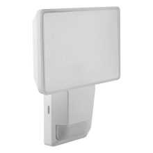 Ledvance - LED Utomhus väggStrålkastare med sensor FLOOD LED/15W/230V IP55