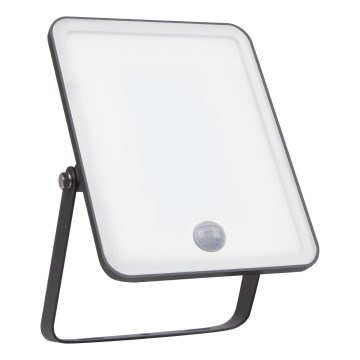 Ledvance - LED utomhusväggstrålkastare med rörelse- och skymningssensor FLOODLIGHT LED/30W/230V IP65