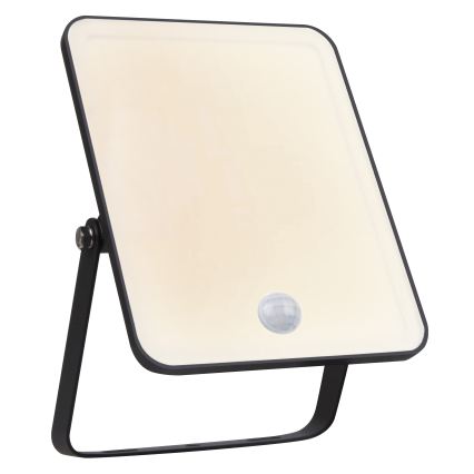 Ledvance - LED utomhusväggstrålkastare med rörelse- och skymningssensor FLOODLIGHT LED/30W/230V IP65