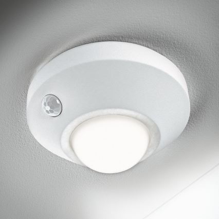 Ledvance - LED Orienteringslampa med sensor NIGHTLUX LED/1,7W/3xAA 4000K
