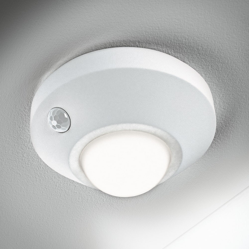 Ledvance - LED Orienteringslampa med sensor NIGHTLUX LED/1,7W/3xAA 4000K