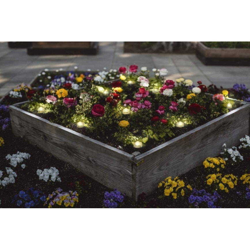 Ledvance - LED RGB Utomhus förlängningsset SMART+ DOT 9xLED/2,5W/230V IP65 Wi-Fi