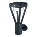 Ledvance - sol vägglampa med sensor  BOUQUET LED/6W/3,7V IP44