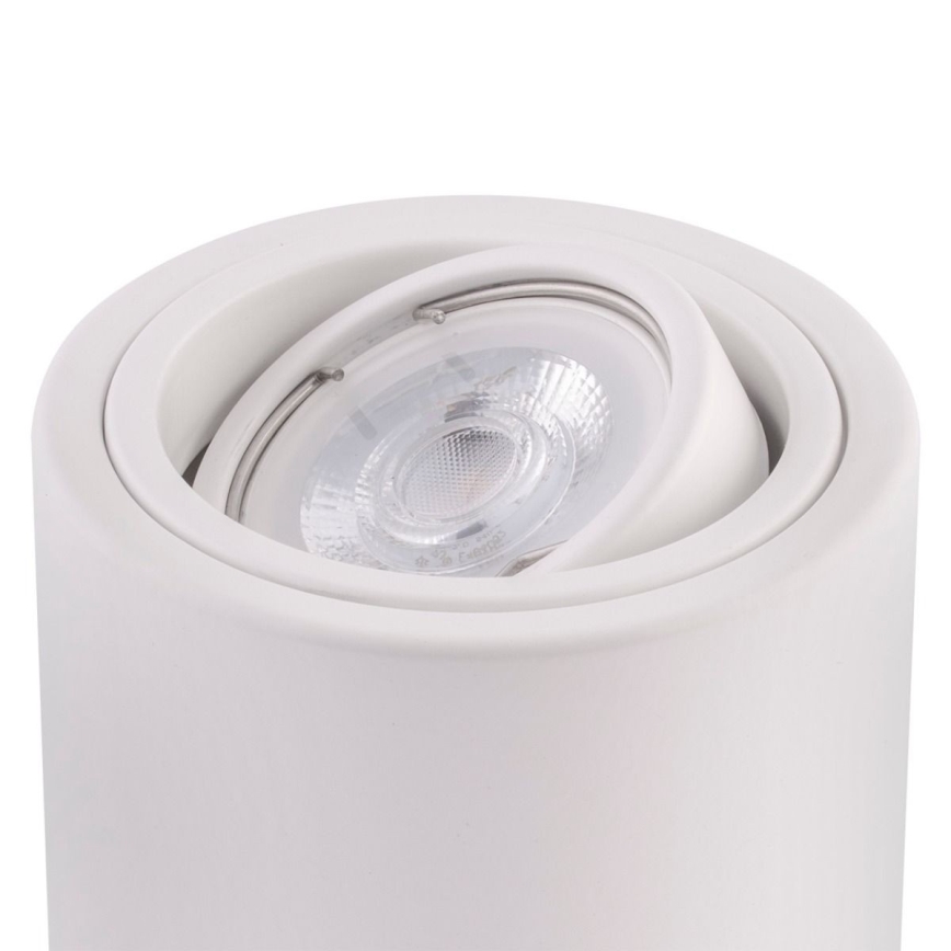 Ledvance - Spotlight TUBA 1xGU10/50W/230V