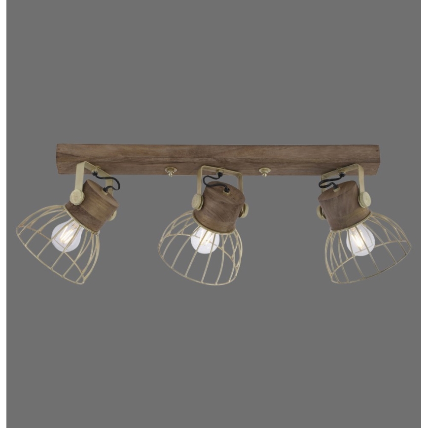 Leuchten Direkt 11488-60 - Spotlight ALAMI 3xE27/25W/230V mangoträd