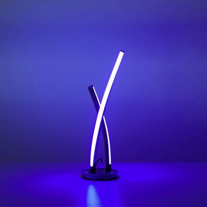 Leuchten Direkt 11991-55 - LED RGB ljusreglerad bordslampa  SWING LED/9,5W/230V 2700-5000K + fjärrkontroll 