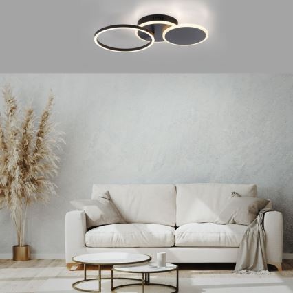 Leuchten Direkt 14116-18 - LED taklampa SEVENT LED/25,5W/230V svart