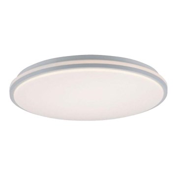 Leuchten Direkt 14208-16 - LED ljusreglerad taklampa  COLIN LED/18W/230V