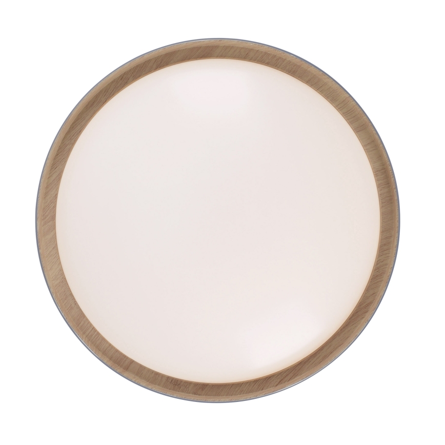 Leuchten Direkt 14347-15 - LED dimbar taklampa EMILIA LED/28,8W/230V grå