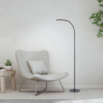 Leuchten Direkt 14406-18 - LED Ljusreglerad beröring golvlampa KELLY LED/7W/230V 3000/4000/6000K