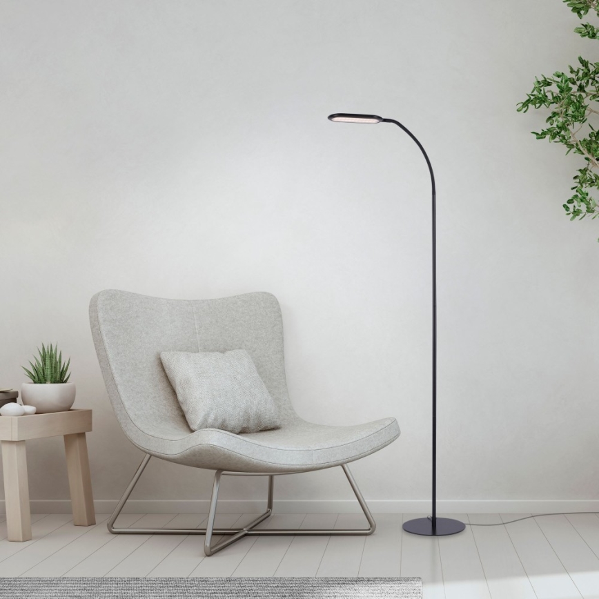 Leuchten Direkt 14406-18 - LED Ljusreglerad beröring golvlampa KELLY LED/7W/230V 3000/4000/6000K