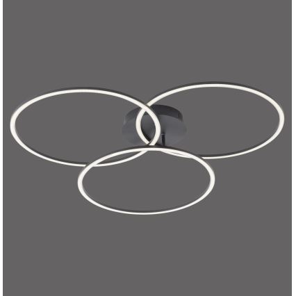 Leuchten Direkt 14539-18 - LED Dimbar belysning IVANKA 3xLED/12W/230V