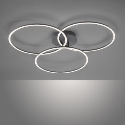 Leuchten Direkt 14539-18 - LED Dimbar belysning IVANKA 3xLED/12W/230V