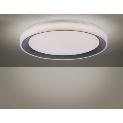 Leuchten Direkt 14659-18 - LED RGB Dimbar belysning LOLA LED/24W/230V Tuya + Fjärrstyrd