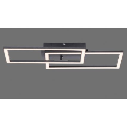 Leuchten Direkt 14692-18 - LED dimbar taklampa IVEN LED/36W/230V