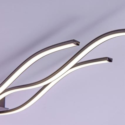 Leuchten Direkt 15167-18-LED Ytmonterad taklampa WAWE 2xLED/12,5W/230V+LED/17W svart