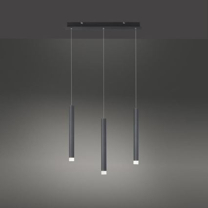 Leuchten Direkt 15203-18 - LED Ljuskrona med upphängningsrem  3xLED/4,8W/230V svart 