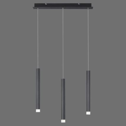 Leuchten Direkt 15203-18 - LED Ljuskrona med upphängningsrem  3xLED/4,8W/230V svart 
