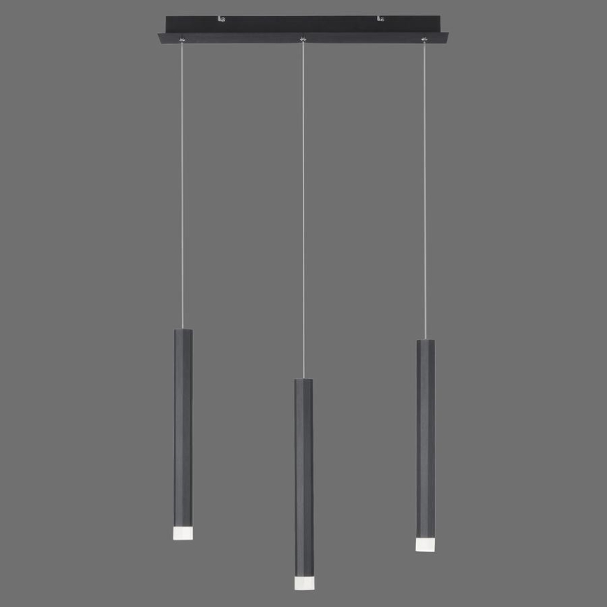 Leuchten Direkt 15203-18 - LED Ljuskrona med upphängningsrem  3xLED/4,8W/230V svart 