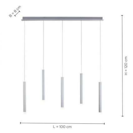 Leuchten Direkt 15205-95 - LED Ljuskrona med upphängningsrem  BRUNO 5xLED/4,8W/230V